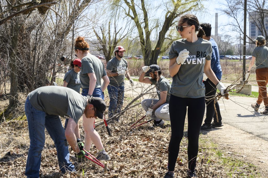 Volunteers cut down and haul away invasive buckthorn branches during Bucky’s Big Event (a service day where students, staff, and faculty can volunteer and engage with the community)