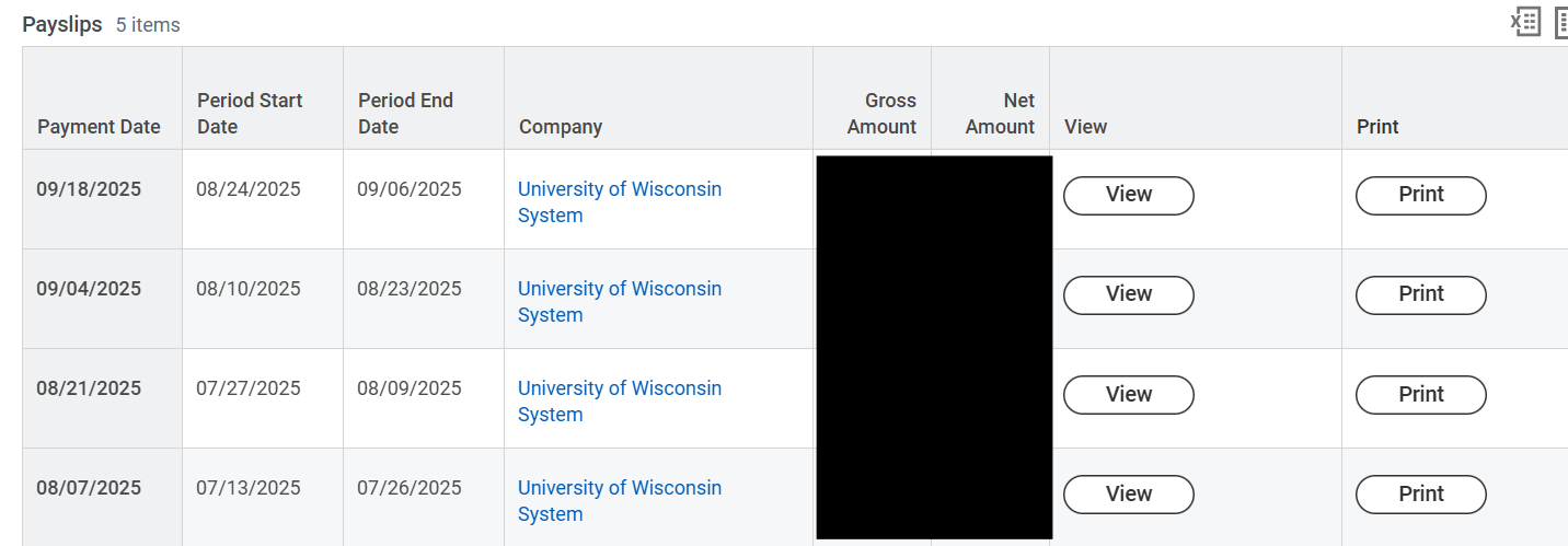 Workday image with a list of payslips