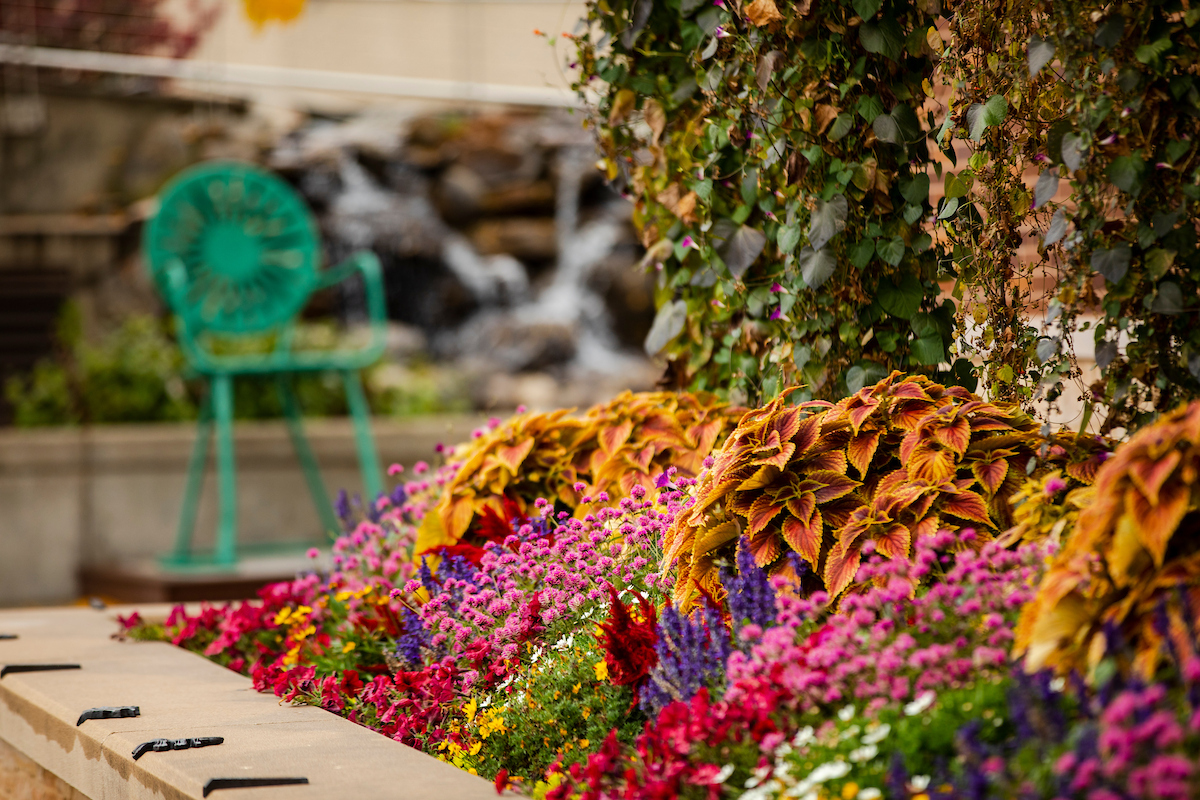 Flowers and vegetation adorn the outside of Union South