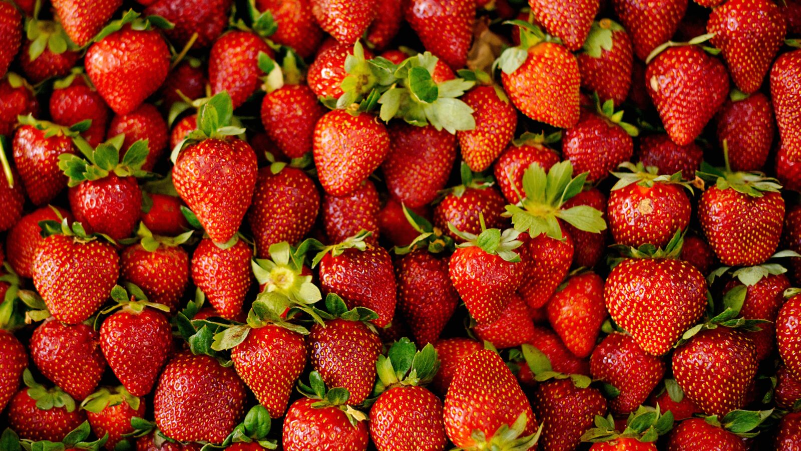 Fresh strawberries